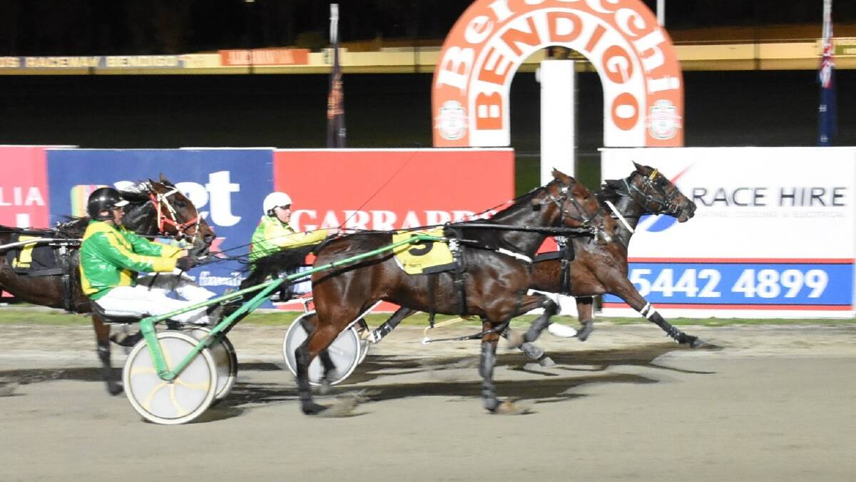 Shane Organ steers the Glenn Sharp-trained Mystic Chip to a win at Lord's Raceway on Monday. The win was the 23-year-old's first as a driver. Picture: CLAIRE WESTON PHOTOGRAPHY