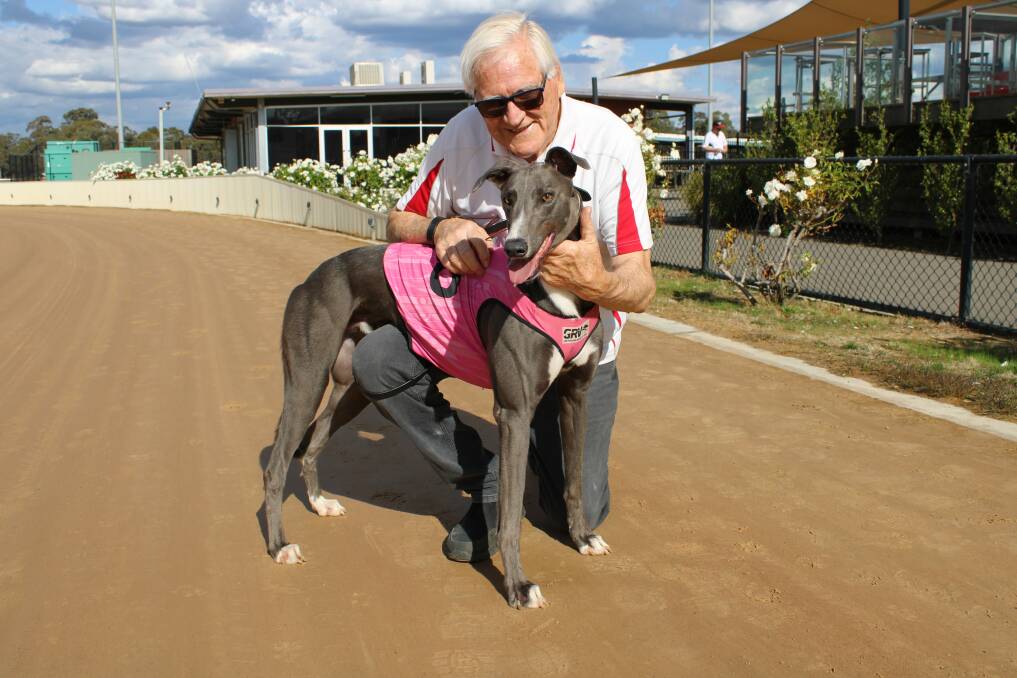 Fire Hose, for Sale trainer Chris Tilley, was an impressive winner of heat three in the Jarrod Larkin Gold Rush Maiden series. Picture: KATE JACKSON