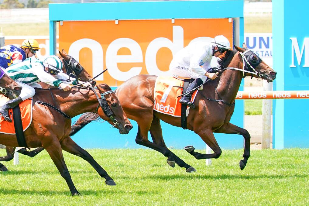 Swing With Junior, ridden by Joe Bowditch, wins at Mornington on New Year's Day. Picture: SCOTT BARBOUR/RACING PHOTOS
