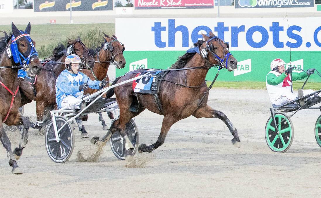 The Brad Angove-trained Sundons Courage, pictured winning at Melton last year, will look for a reversal of form in Friday night's Group 3 Shepparton Trotters Cup. Picture: STUART McCORMICK