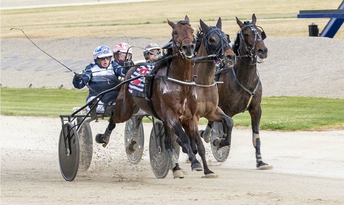 TRIUMPH: The Emma Stewart-trained Cover Of Darkness, driven by Jodi Quinlan, charges to victory in Saturday night's Breeders Crown final for three-year-old trotting colts and geldings at Tabcorp Park Melton. Picture: STUART McCORMICK