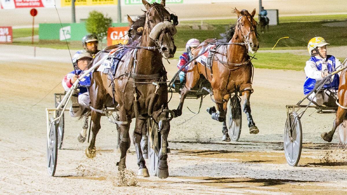 Fynn Frost, driven by Brad Chisholm, narrowly gets the better of Ozzie Playboy and Luke Dunne at Melton on Friday night. Picture: STUART McCORMICK