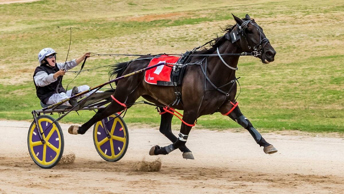 Shannon O'Sullivan will be chasing a third win in four drives aboard the Susan Hunter-trained Monash in Sunday's Central Victorian Pacing Championship. O'Sullivan will also have here first Group race drive on Well Defined in the Central Victorian Trotting Championship.