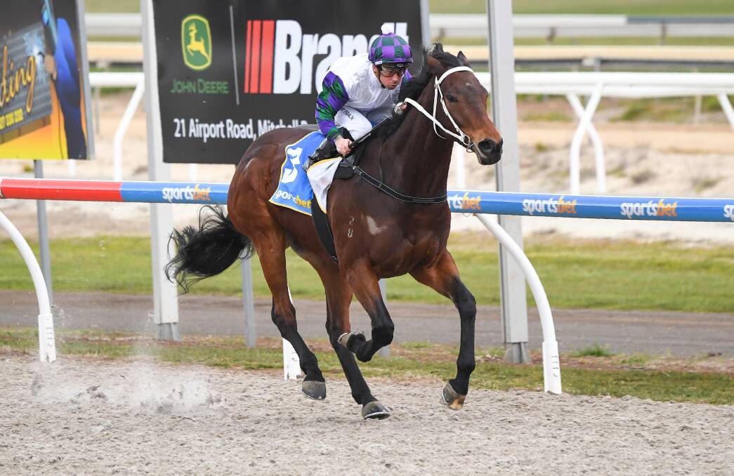 Hallowed Ground, ridden by Dean Holland, makes it win number three from four starts at Ballarat Synthetic on Tuesday. Picture: PAT SCALA/RACING PHOTOS