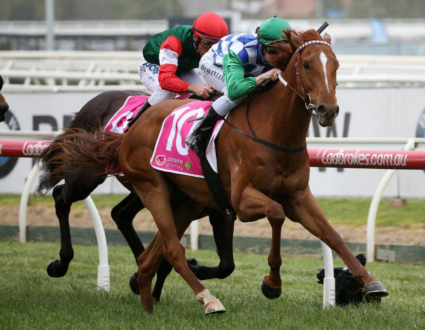 Damian Lane rides the Darren Weir-trained Kiwia to victory in the Coongy Handicap on Caulfield Cup Day. Picture: George Salpigtidis/AAP Images