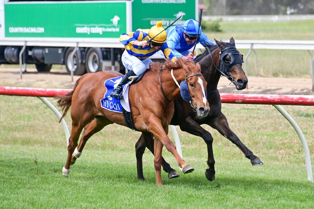 Svaneke, ridden by Brian Higgins, gets the better of Rocky Racoon (Thomas Carberry) to win the Mark Goring Memorial 0-58 Handicap at Tatura last month. Picture: BRENDAN McCARTHY/RACING PHOTOS