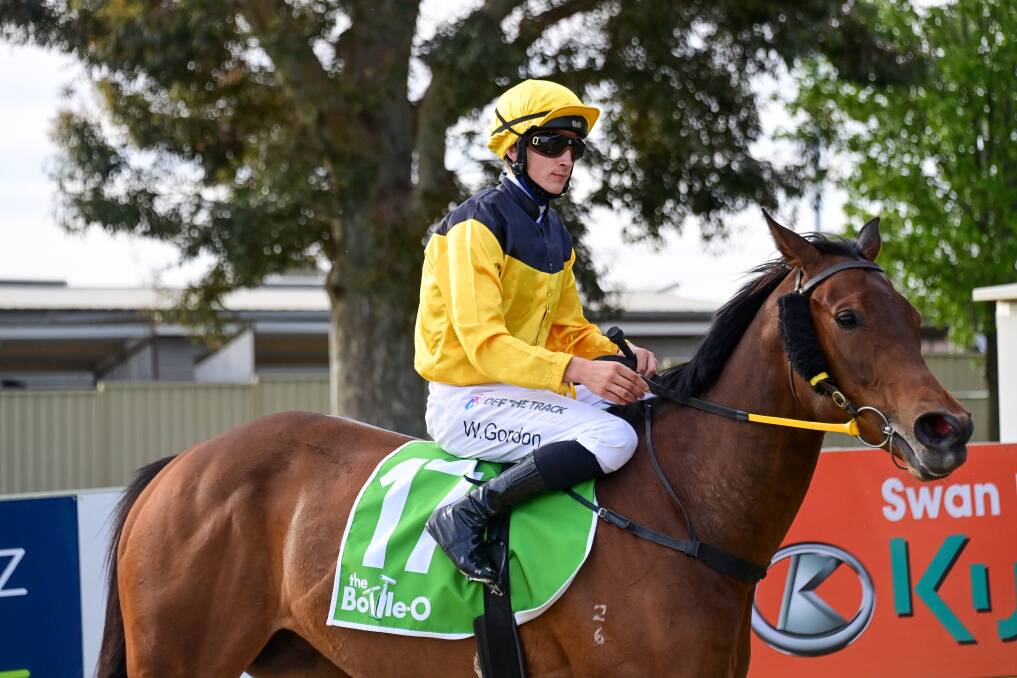 Perfect War, ridden by Will Gordon, returns to the mounting yard after winning at Swan Hill on Monday. Picture: BRENDAN McCARTHY/RACING PHOTOS