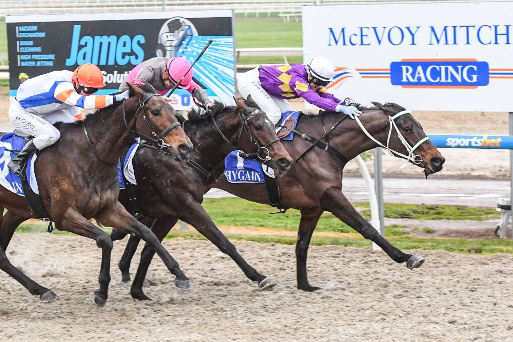 Equine Philosopher, ridden by Rose Hammond, claims the third of his three wins for the 2022-23 season at Ballarat Synthetic on July 4. Picture by Racing Photos