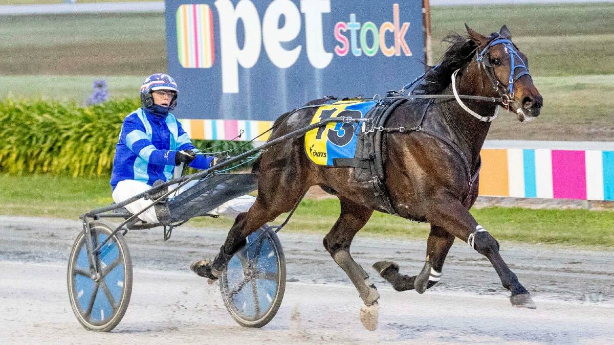 Plymouth Chubb continued his dominance by notching his 12th straight win in Friday night's Group 3 The Gavin Lang Aldebaran Park 2YO Trotting Mile at Bendigo's Lord's Raceway.
