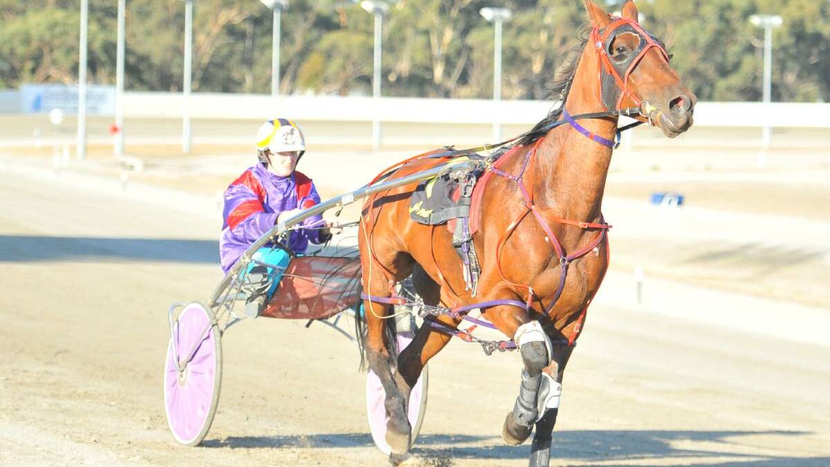 Ellen Tormey added her name to the winner's list with a win aboard the Wayne Potter-trained filly Smash It at Kilmore on Thursday night. File picture.