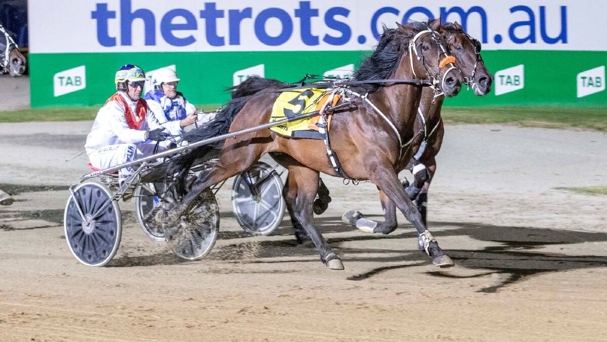 WINNING WAYS: Neil McCallum scores a winner for trainer Stan Cameron with Savannah Jay Jay at Tabcorp Park Melton in February this year. Picture: STUART McCORMICK