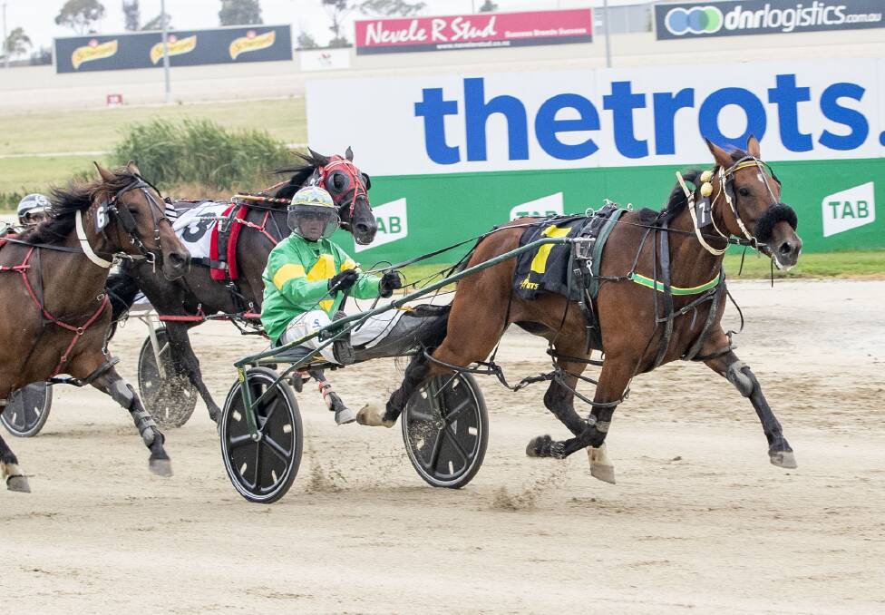 ON THE UP: Raani, with Neil McCallum in the sulky, posts the second of her three wins at Melton earlier this month. Picture: STUART McCORMICK