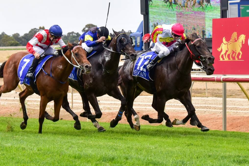 Zoujea, ridden by Harry Coffey (red cap), wins the Echuca CIH Benchmark 64 Handicap on Sunday. Hi Stranger, ridden by William Pike returns to the mounting yard after winning the Echuca Cup. Picture: BRENDAN McCARTHY/RACING PHOTOS