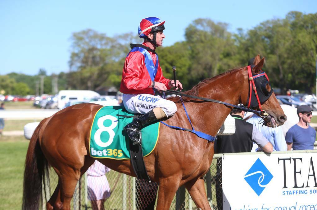 Penny To Sell is one of two Bendigo region gallopers attempting to win their way into the field for the $5 million All Star Mile at Flemington on March 16. 