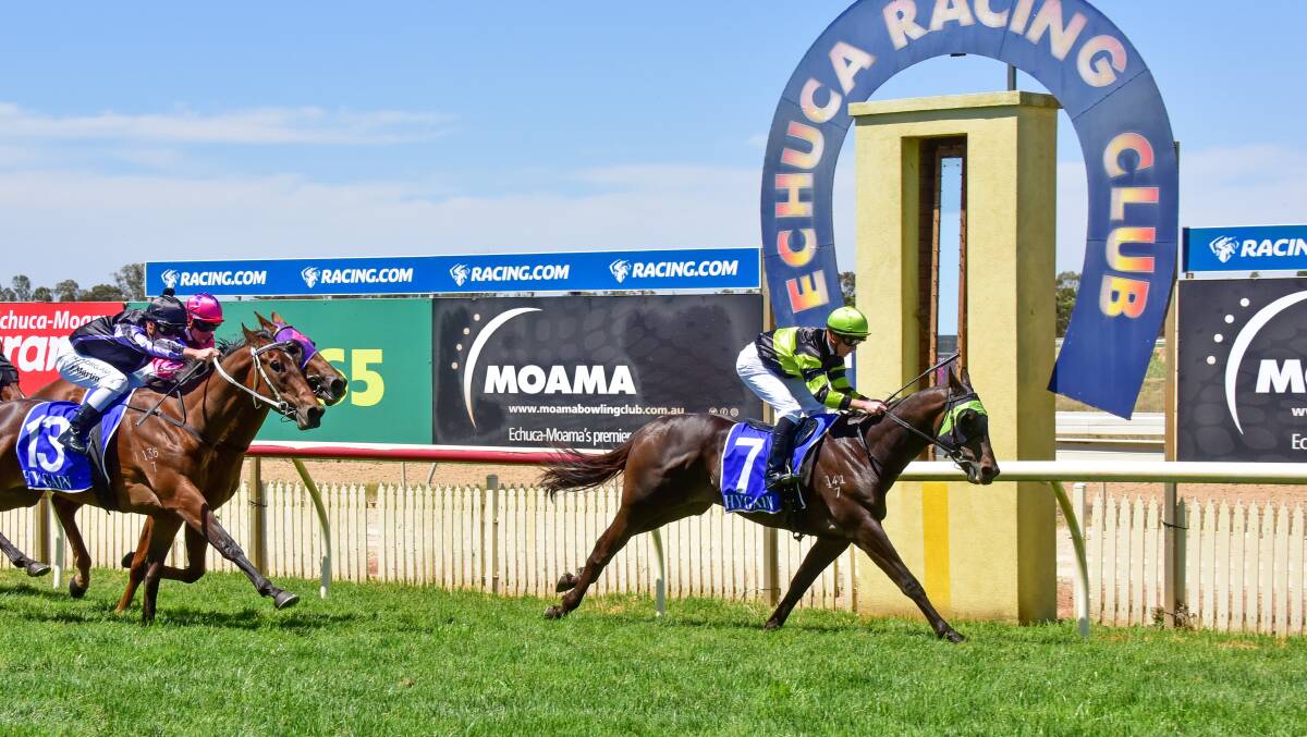 Nuclear Energy wins first-up for the Anne Yates stable. Picture: BRENDAN McCARTHY/RACING PHOTOS