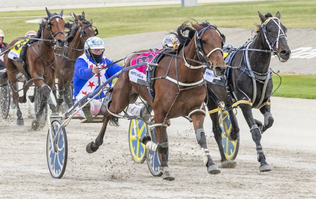 Interest Free, driven by Glenn Douglas, will be one of the main contenders in Saturday night's $300,000 Breeders Crown Final for two-year-old colts and geldings. Picture: STUART McCORMICK