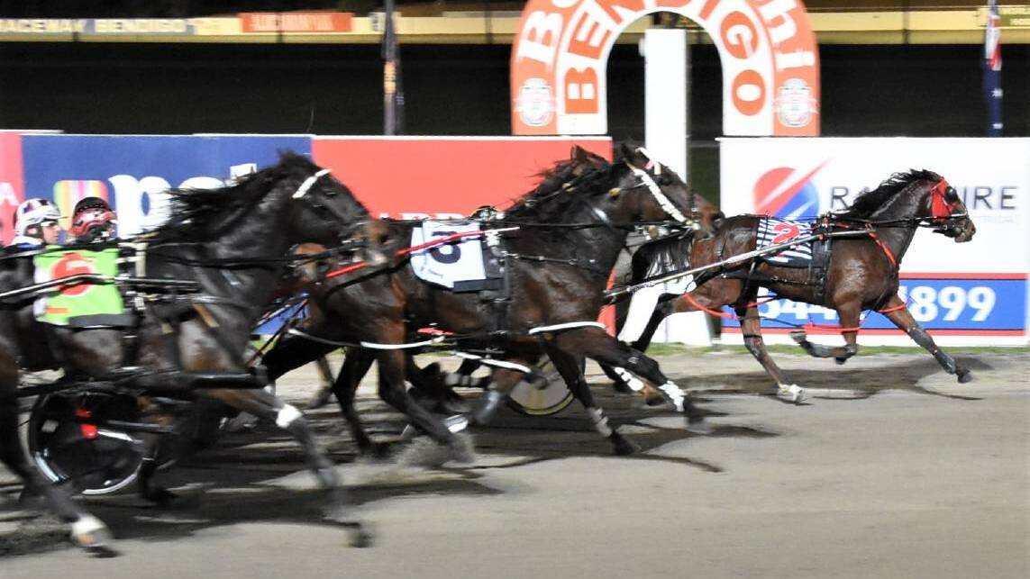 Outside Fighter, driven by Katrina Cain, scores his maiden win at Bendigo's Lord's Raceway in May. File picture: CLAIRE WESTON PHOTOGRAPHY