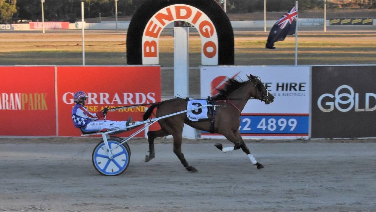 Aldebaran Ursula, driven by Kate Gath, wins the inaugural Graeme Lang Aldebaran Park Trotting Mile for two-year-old fillies at Lord's Raceway in Bendigo. Picture: CLAIRE WESTON PHOTOGRAPHY