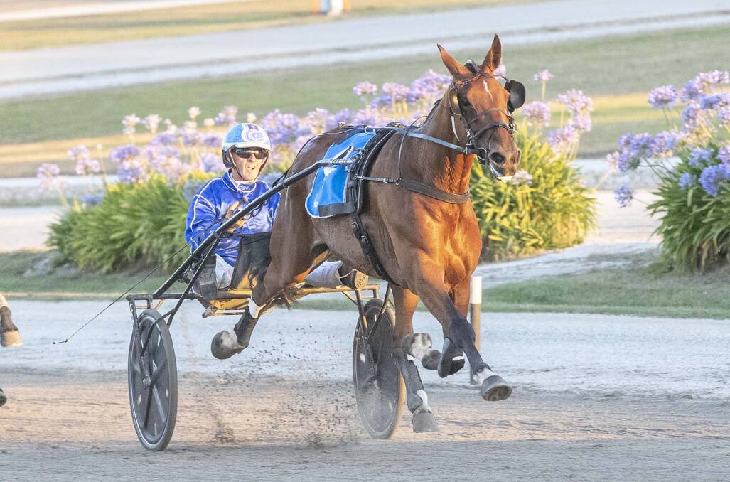 Save Our Pennys won the Bendigo Trotters Cup for the Langs in 2018.. picture: STUART McCORMICK