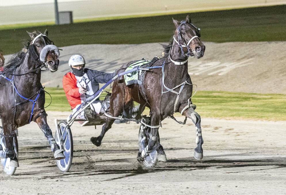 Torrid Saint, driven by Glenn Douglas and trained by Julie Douglas, is bound for this Saturday night's $300,000 Victoria Cup at Lord's Raceway. Picture: STUART McCORMICK