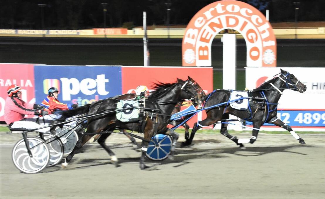 Ellen Tormey steers Ozzie Sunshine to a win on Monday night. Picture: CLAIRE WESTON PHOTOGRAPHY