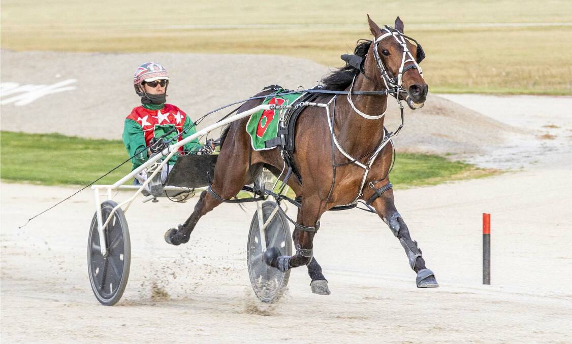 Boxofchocolates, driven by Greg Sugars, charges to victory at Tabcorp Park Melton on Saturday. The mare has now won six-straight races. Picture: STUART McCORMICK