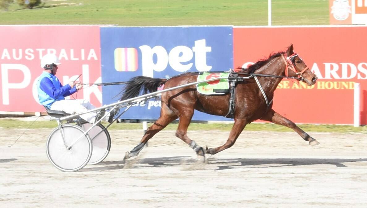 BACK IN BUSINESS: The Ray Cross-trained Countess Chiron, driven by Nigel Milne, wins at Bendigo's Lord's Raceway last May during the regional racing period. File picture: CLAIRE WESTON PHOTOGRAPHY
