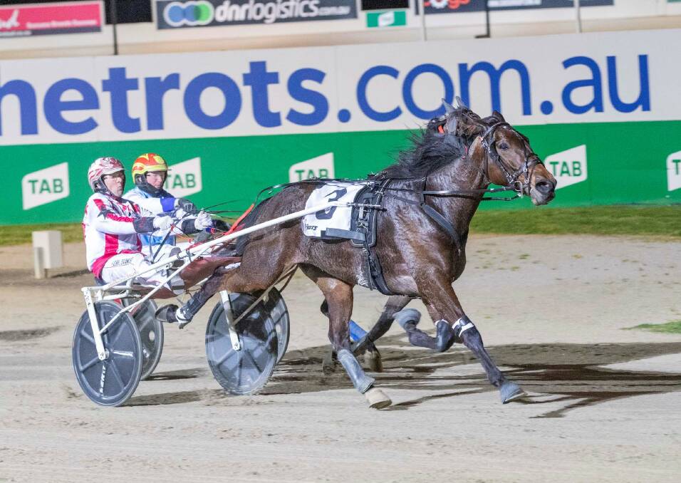 IN-FORM: Trainer-driver Chris Svanosio urges Magicool to victory in the True Roman Trotters Free For All at Tabcorp Melton on Saturday night. The six-year-old will line up in tonight's Kilmore Trotters Cup. Picture: STUART McCORMICK