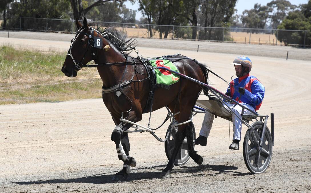Juniper, then trained by Keith Cotchin and driven by Ryan Duffy, was one of eight horses to earn a win on Elmore Cup day in 2019. Picture: KIERAN ILES
