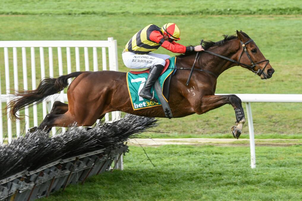 IMPRESSIVE: The Neil Dyer-trained Stanley jumps his way to a maiden hurdle win at Casterton on Saturday. The six-year-old gelding was ridden by Dylan McDonagh. Picture: BRETT HOLBURT/RACING PHOTOS
