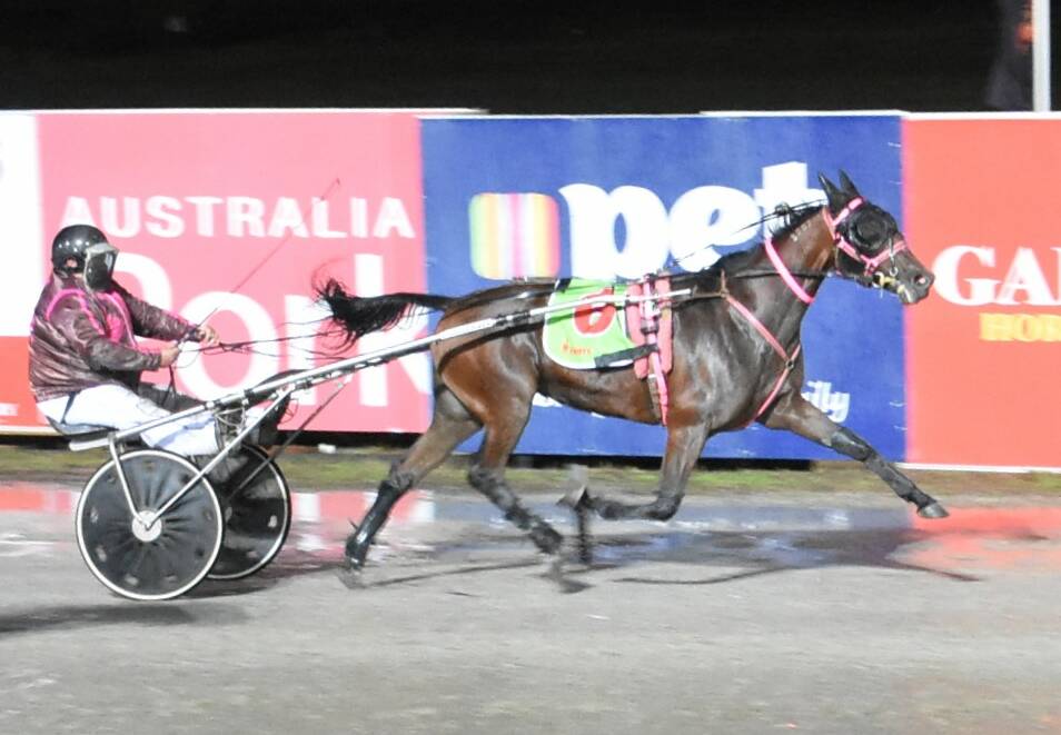 Brett Shipway guides Di Li to a sentimental win in the Vale Colin Redwood Trot at Lord's Raceway on Friday. Picture: CLAIRE WESTON PHOTOGRAPHY