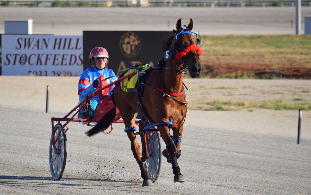 Balmy Bob helped deliver Denbeigh Wade her 99th career win in the sulky. Picture: SWAN HILL TROTTING CLUB