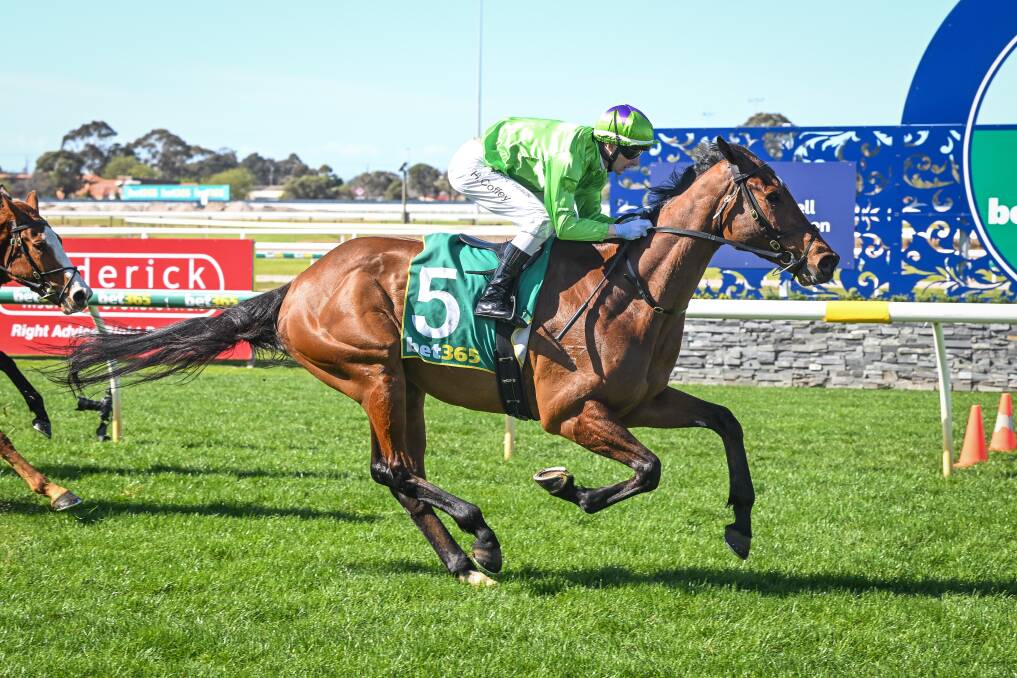 The Liam Howley-trained Naval Aviator, ridden by Harry Coffey, wins at Geelong on August 25. Picture by Reg Ryan/Racing Photos