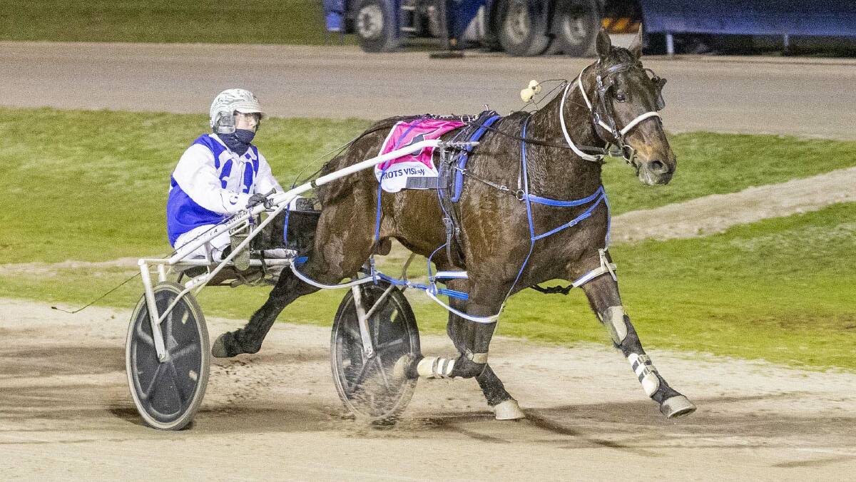 Ellen Tormey and Bernie Winkle combine for another win at Shepparton in July last year. Picture by Stuart McCormick