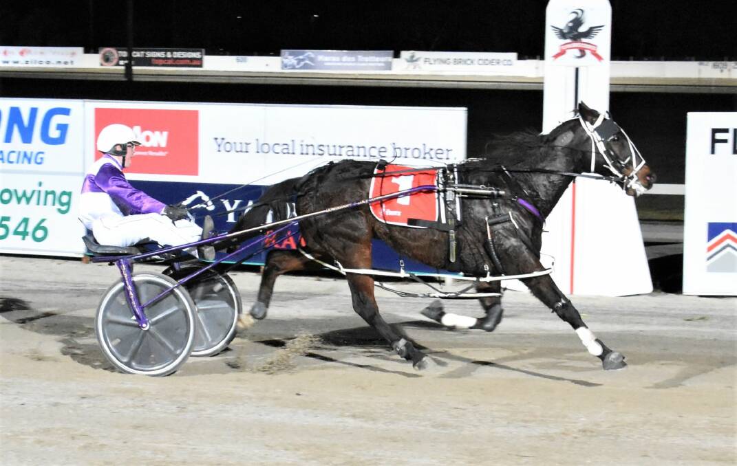 UNFORGETTABLE: Sean O'Sullivan posts his first win as a driver aboard his father Jim O'Sullivan's horse Realy Under Fire at Geelong on Wednesday night. Picture: CLAIRE WESTON PHOTOGRAPHY