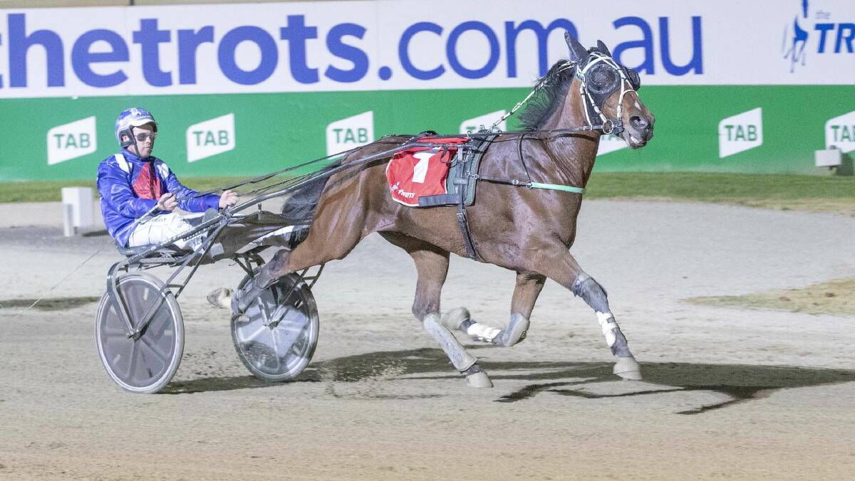 Haydon Gray urges Chissy to the line to win the four-year-old trot at Tabcorp Park Melton on Saturday night for trainer David Van Ryn. Picture: STUART McCORMICK