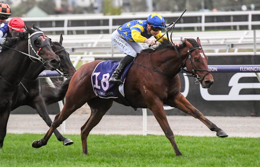 Our Lone Star charges to victory at Flemington on Anzac Day this year for Bendigo trainer Sean Mott. Picture: RACING PHOTOS