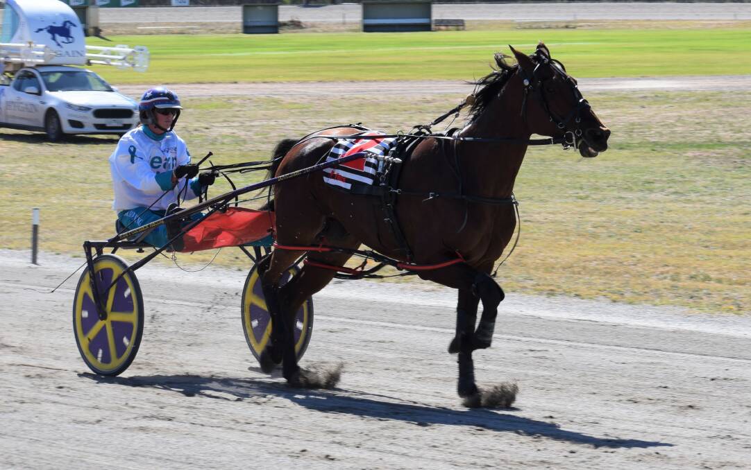 Cee Cee In America, then trained by Greg Norman and driven by Kerryn Manning, wins at Charlton on cup day on March 14. The five-year-old gelding is now being trained by Joey Thompson. Picture: KIERAN ILES