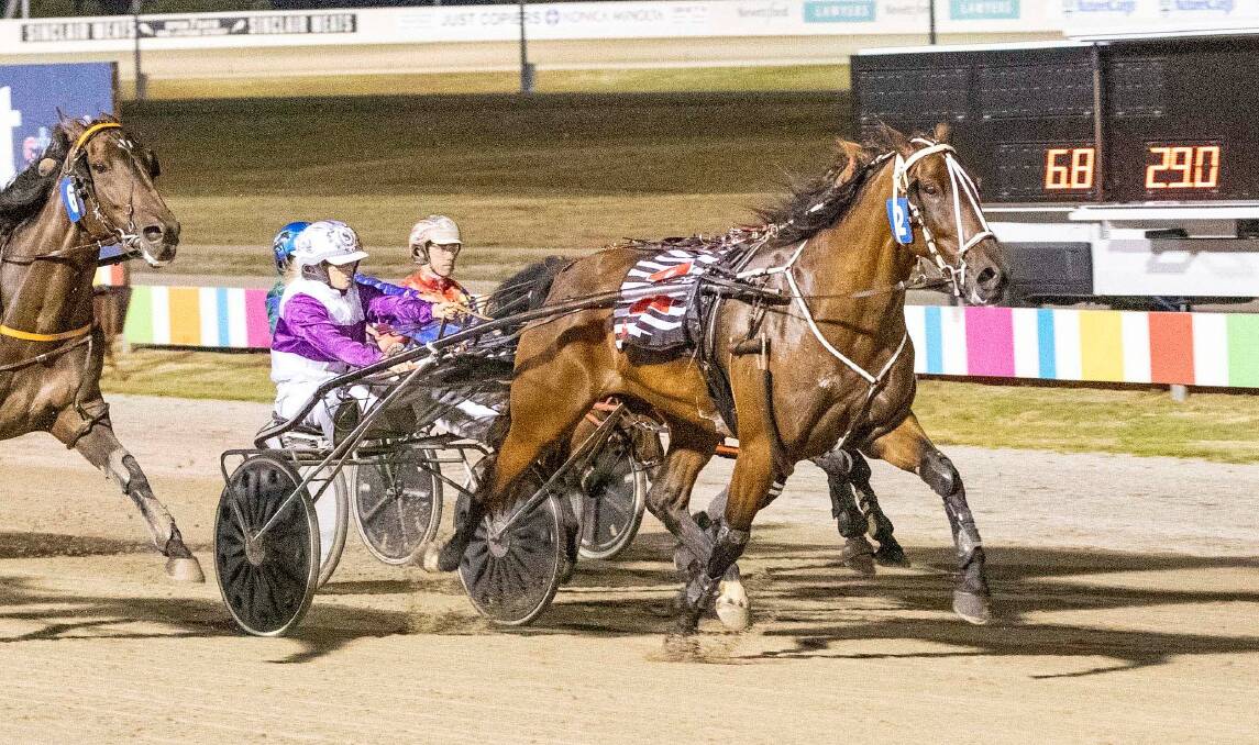 Neangar Guy, driven by Shannon O'Sullivan, scores the first of his two wins at Ballarat in January. File picture: STUART McCORMICK
