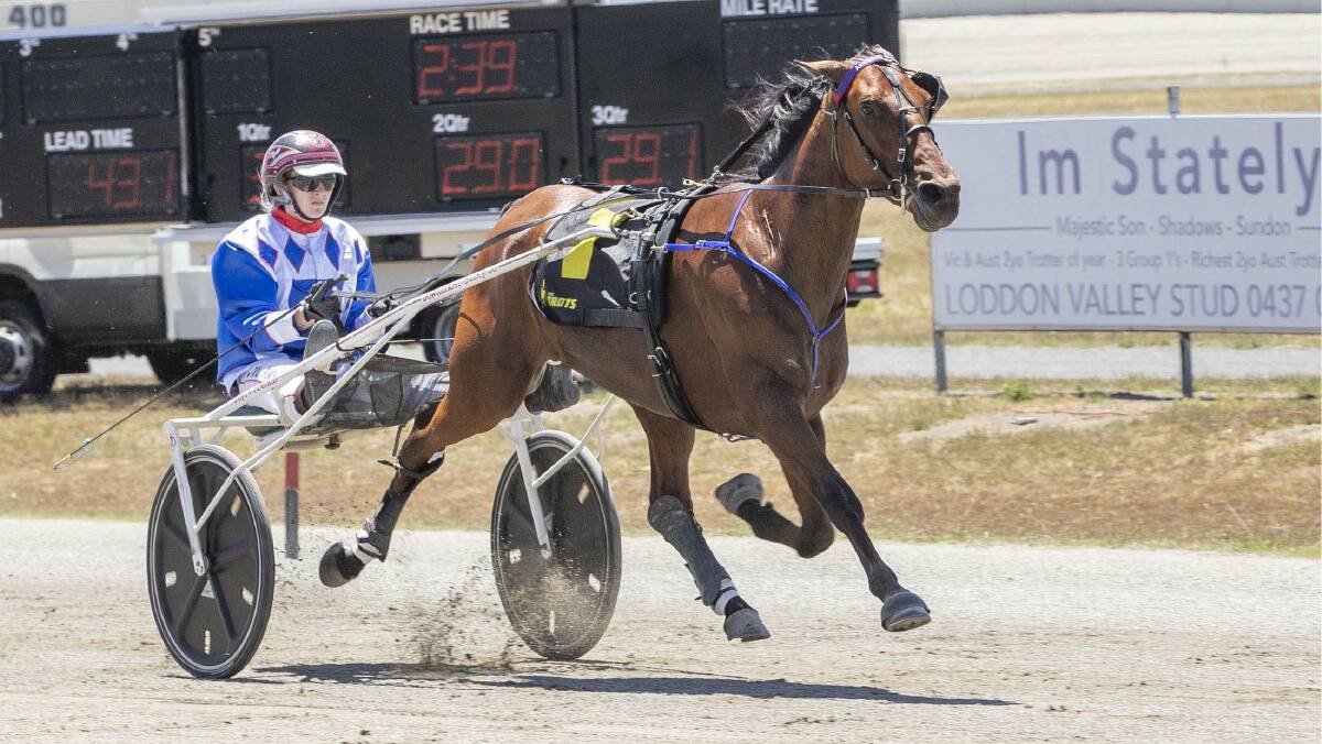 Tayla French steers Parisian Artiste to victory in his heat of the Vicbred Super Series for three-year-old trotting colts and geldings at Maryborough last Monday. Picture: STUART McCORMICK