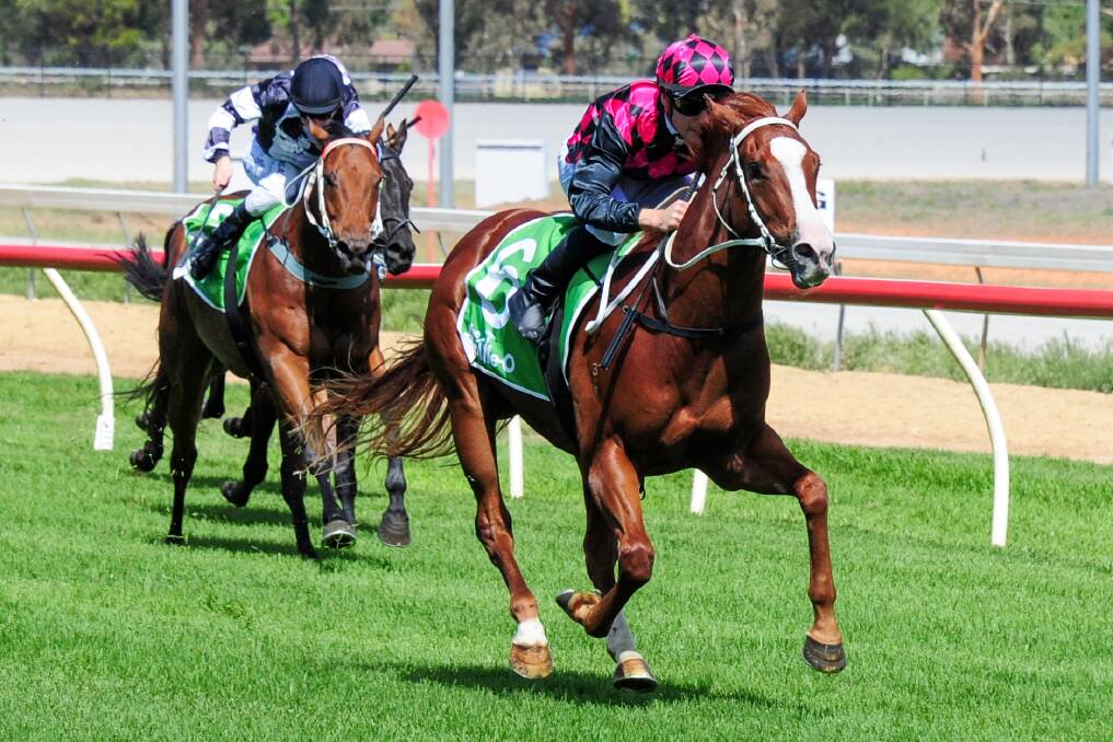 STAR IN THE MAKING: Latenighttoughguy, ridden by Jack Martin, leaves the field in his wake at Swan Hill on March 20. The former Kym Hann-trained galloper has been sold to Hong Kong interests.Picture: RACING PHOTOS