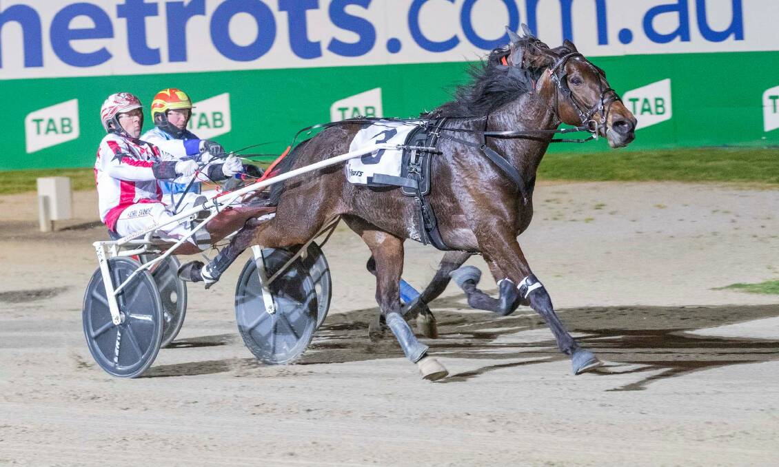 Magicool wins the True Roman Trotters Free For All at Melton on September 21. Picture: STUART McCORMICK