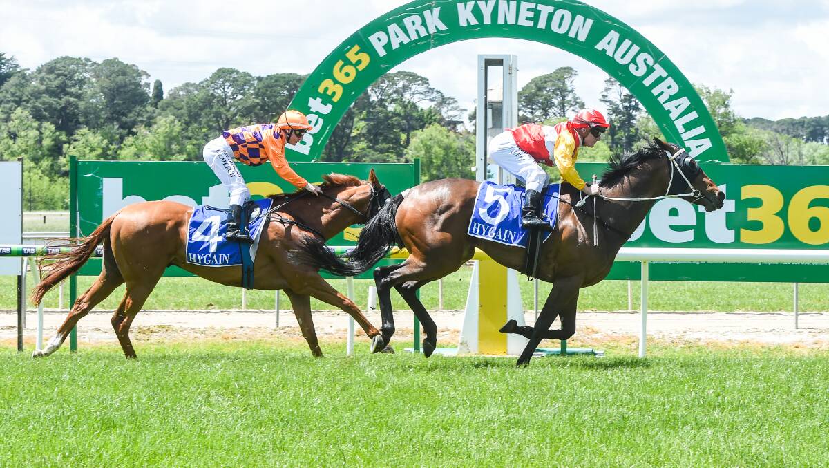 HUGE DAY: Bella, ridden by Jarrod Fry wins the Iron Jack Maiden Plate at Kyneton on cup day. Picture: BRETT HOLBURT/RACING PHOTOS