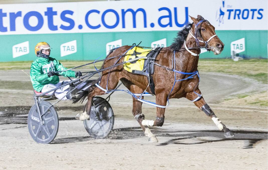 Jack Laugher steers the Julie Douglas-trained Chase The Hat Trick to a superb win at Tabcorp Park Melton on Friday night. The Bendigo pair was in even better form on Saturday night at Kilmore, emerging with trebles. Picture: STUART McCORMICK