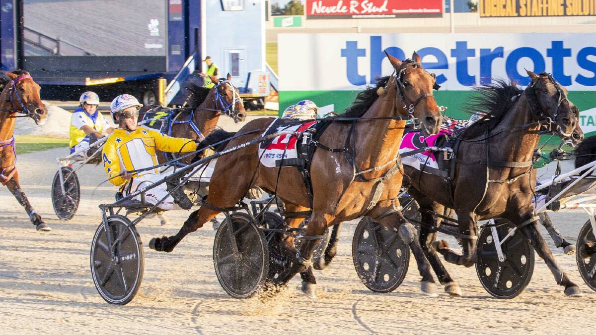 Nathan Jack steers Max Delight to victory in the Sokyola Sprint at Melton on December 23. The pair will again team up in the $75,000 Group 2 Bendigo Pacing Cup on Saturday night. Picture by Stuart McCormick