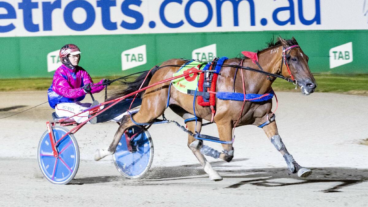 IMPRESSIVE: Assassinator, driven by Tayla French, charges to victory at Tabcorp Park Melton on Friday. Picture: STUART McCORMICK PHOTOGRAPHY