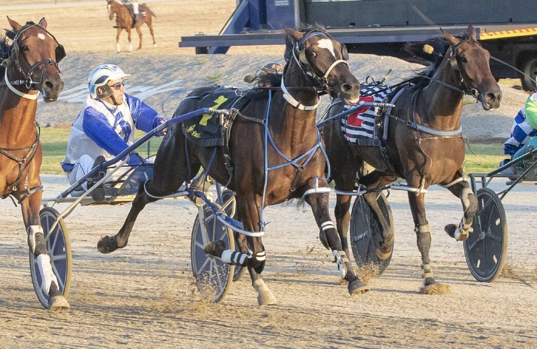 Ozzie Battler, pictured winning at Tabcorp Park Melton in 2019, was back to his best in defeating his in-form stable-mate Bernie Winkle at Swan Hill on Thursday night. File picture: STUART McCORMICK