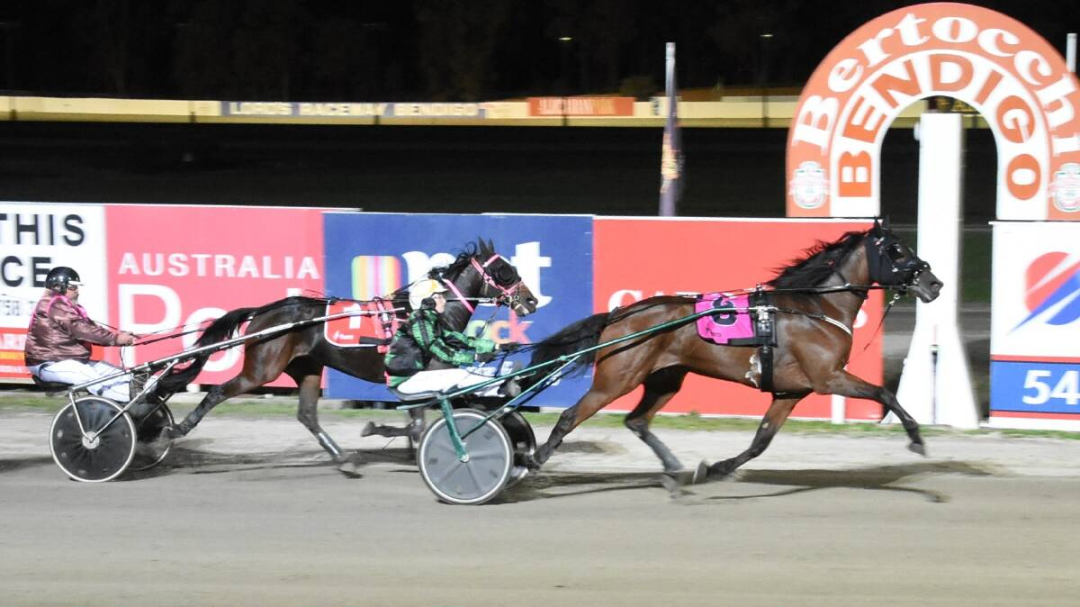 Ellen Tormey steers Vincent Kai to victory at Lord's Raceway on Tuesday night. Picture: CLAIRE WESTON PHOTOGRAPHY
