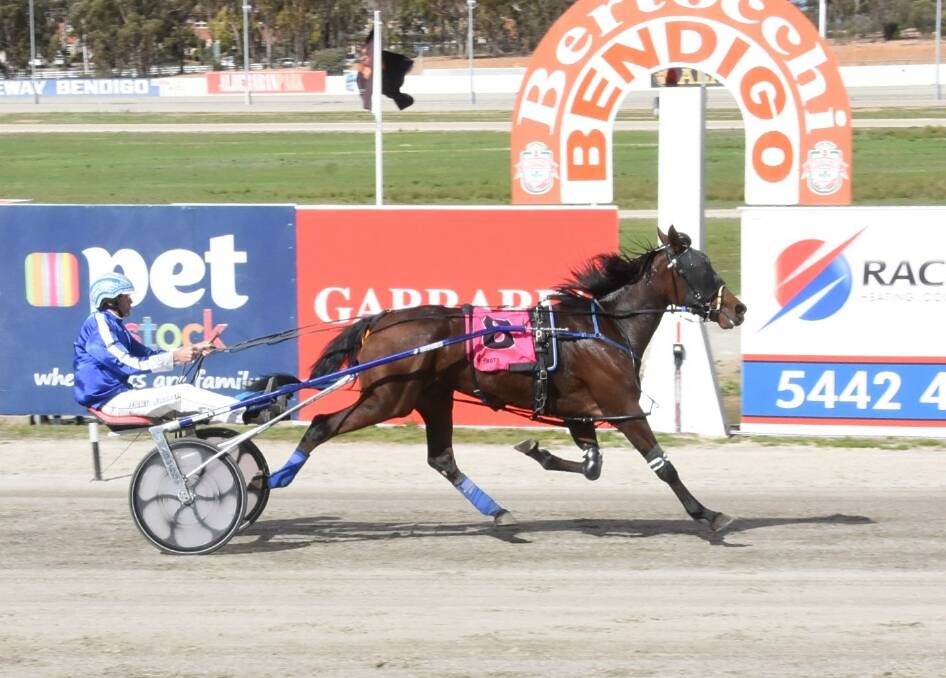 THREE IN A ROW: The Anthony Crossland-trained Lola Devereaux has continued her good form since the move to regional racing. Picture: CLAIRE WESTON PHOTOGRAPHY