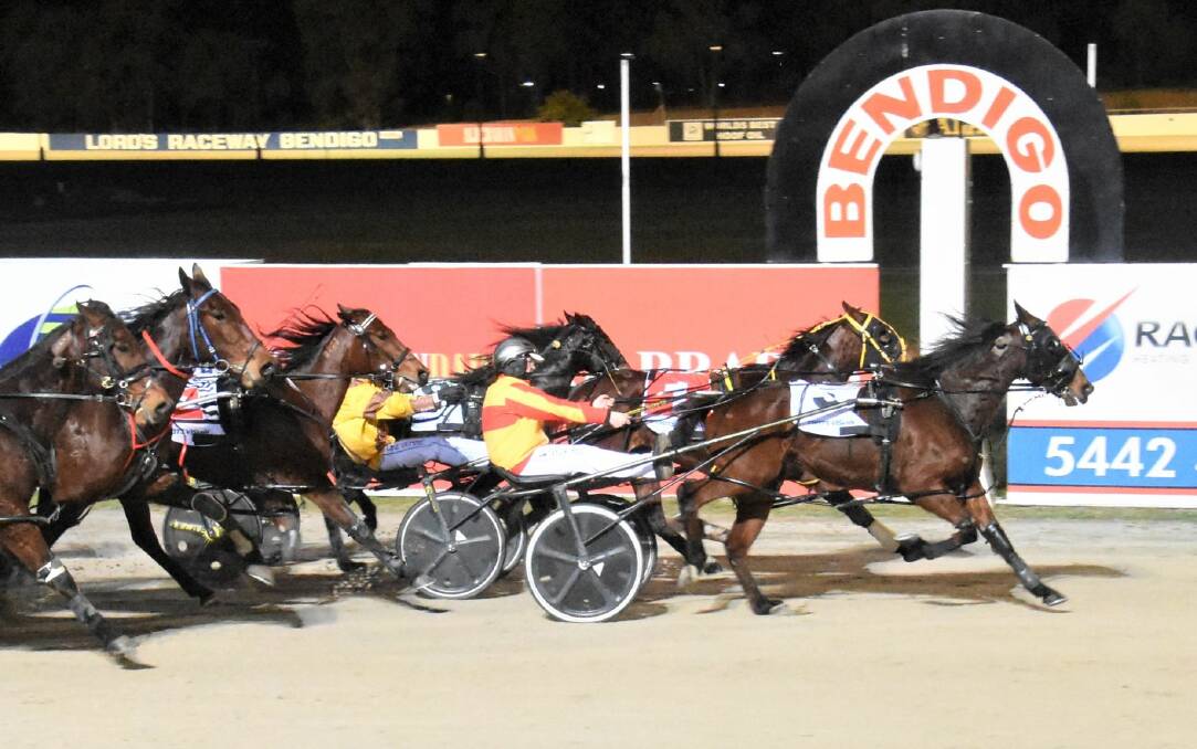 Taylor Youl steers Reign Maker to victory for trainer David Miles at Lord's Raceway on Tuesday night. Picture: CLAIRE WESTON PHOTOGRAPHY